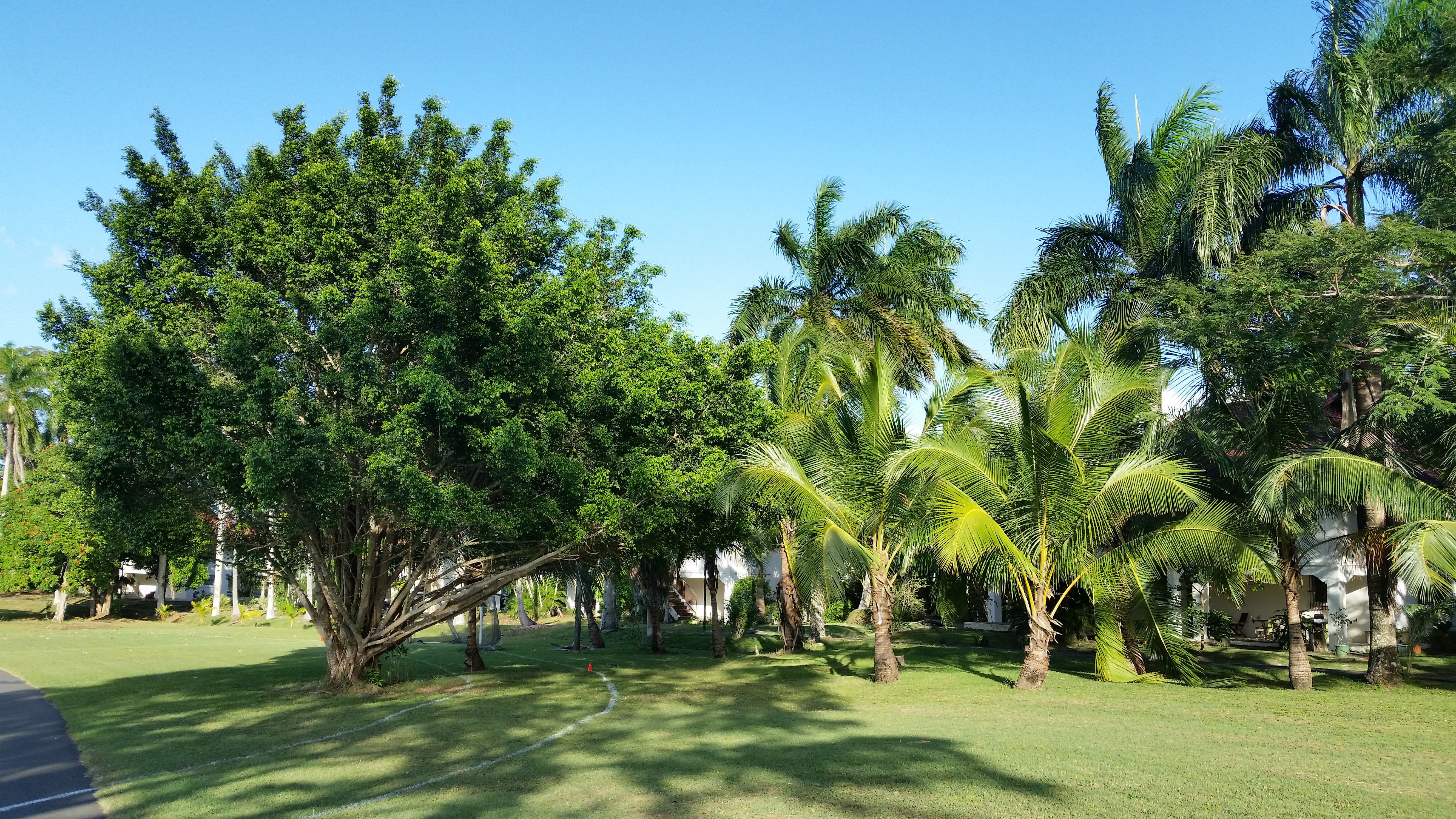 Características del parque